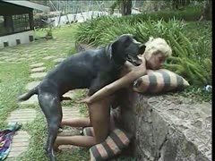 Boyfriend waits for his turn as that guy watches big dog mount and fuck his slim girlfriend